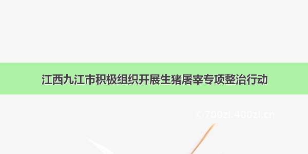 江西九江市积极组织开展生猪屠宰专项整治行动