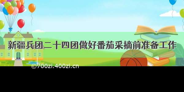 新疆兵团二十四团做好番茄采摘前准备工作