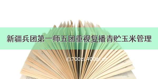 新疆兵团第一师五团重视复播青贮玉米管理