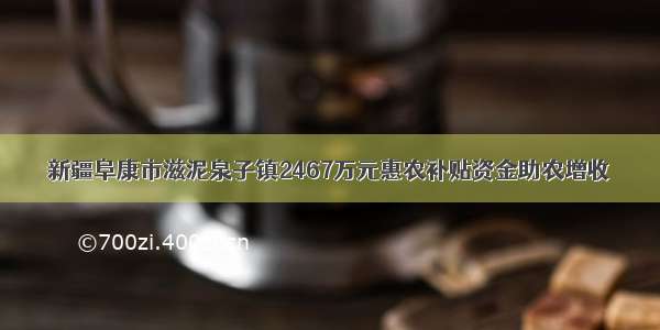 新疆阜康市滋泥泉子镇2467万元惠农补贴资金助农增收