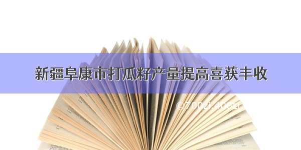 新疆阜康市打瓜籽产量提高喜获丰收