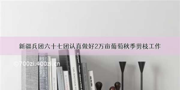 新疆兵团六十七团认真做好2万亩葡萄秋季剪枝工作