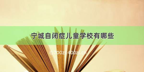 宁城自闭症儿童学校有哪些