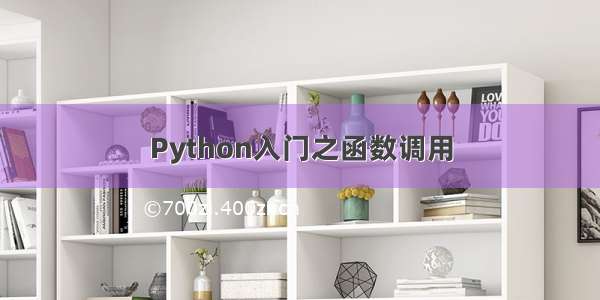 Python入门之函数调用