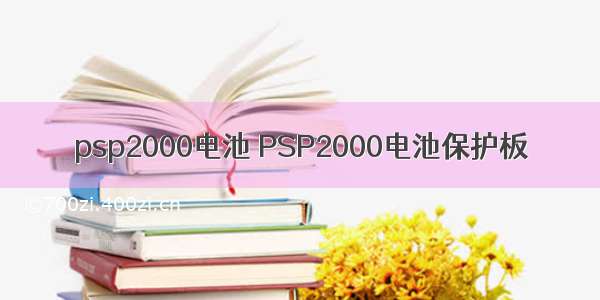psp2000电池 PSP2000电池保护板