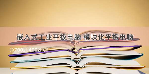 嵌入式工业平板电脑 模块化平板电脑