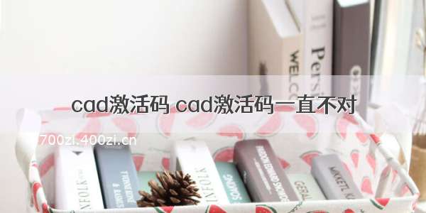 cad激活码 cad激活码一直不对