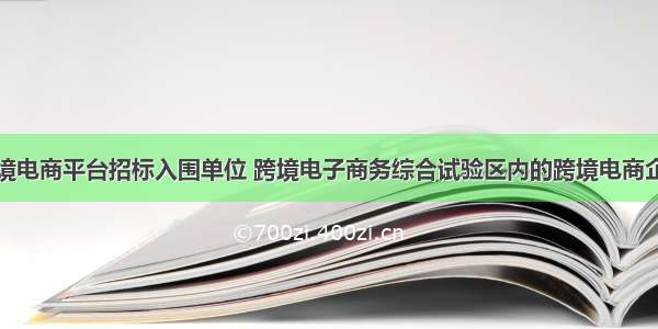 跨境电商平台招标入围单位 跨境电子商务综合试验区内的跨境电商企业