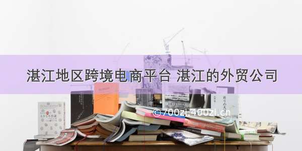 湛江地区跨境电商平台 湛江的外贸公司