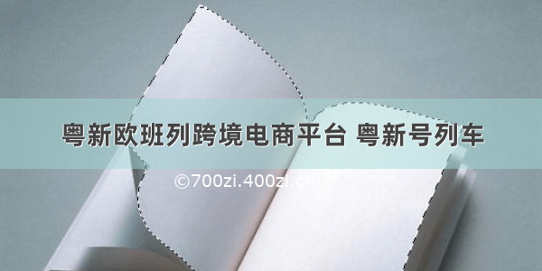 粤新欧班列跨境电商平台 粤新号列车