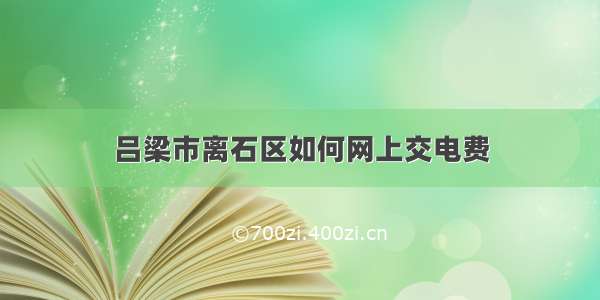 吕梁市离石区如何网上交电费