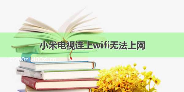 小米电视连上wifi无法上网