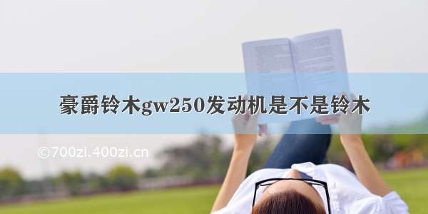 豪爵铃木gw250发动机是不是铃木