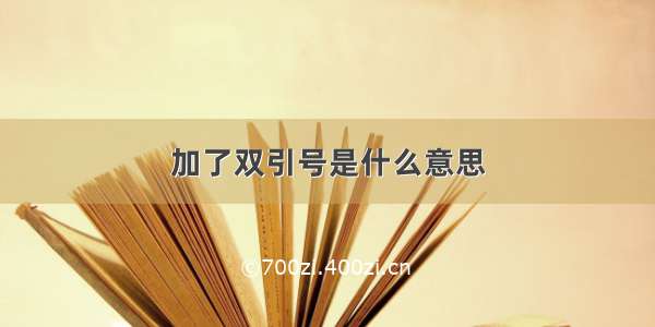 加了双引号是什么意思