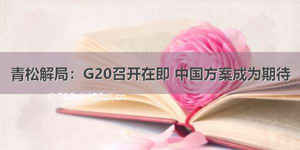 青松解局：G20召开在即 中国方案成为期待