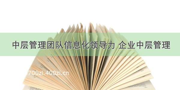 中层管理团队信息化领导力 企业中层管理