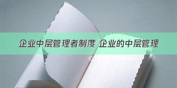 企业中层管理者制度 企业的中层管理