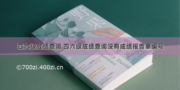 四六级成绩查询 四六级成绩查询没有成绩报告单编号