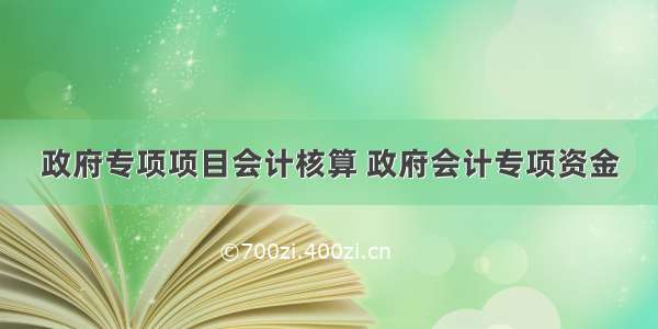 政府专项项目会计核算 政府会计专项资金