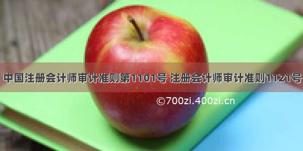 中国注册会计师审计准则第1101号 注册会计师审计准则1121号