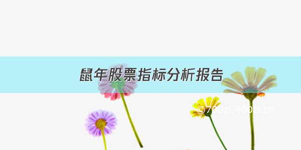 鼠年股票指标分析报告