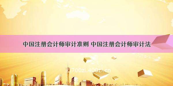中国注册会计师审计准则 中国注册会计师审计法