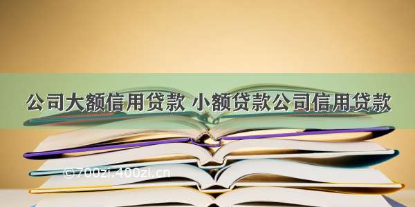 公司大额信用贷款 小额贷款公司信用贷款