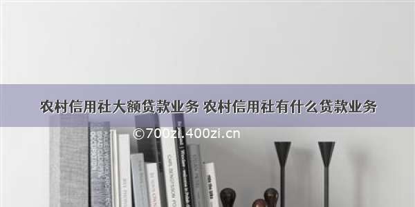 农村信用社大额贷款业务 农村信用社有什么贷款业务