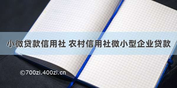 小微贷款信用社 农村信用社微小型企业贷款