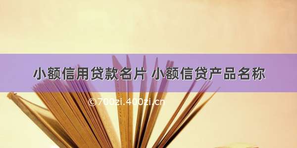 小额信用贷款名片 小额信贷产品名称