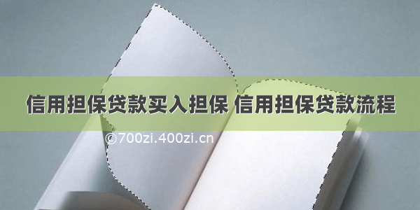 信用担保贷款买入担保 信用担保贷款流程