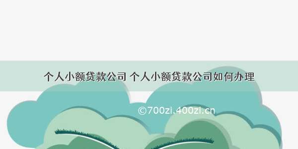 个人小额贷款公司 个人小额贷款公司如何办理