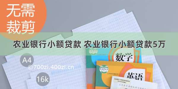 农业银行小额贷款 农业银行小额贷款5万