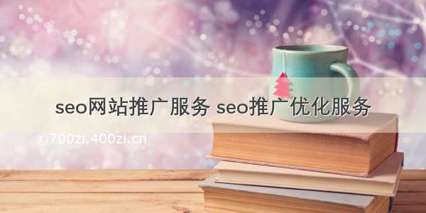 seo网站推广服务 seo推广优化服务