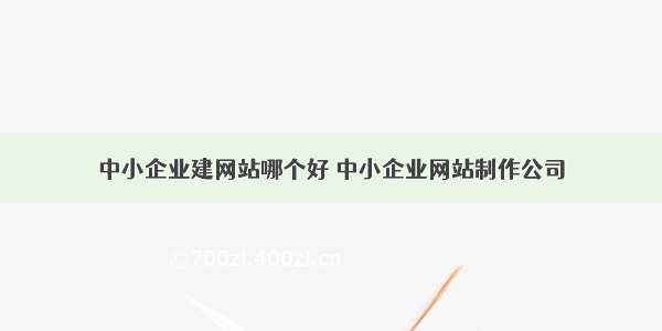 中小企业建网站哪个好 中小企业网站制作公司