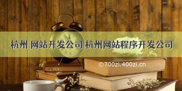 杭州 网站开发公司 杭州网站程序开发公司