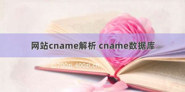 网站cname解析 cname数据库