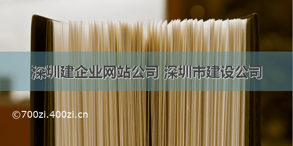 深圳建企业网站公司 深圳市建设公司