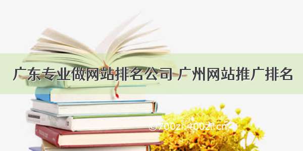 广东专业做网站排名公司 广州网站推广排名