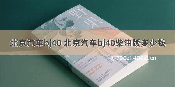 北京汽车bj40 北京汽车bj40柴油版多少钱