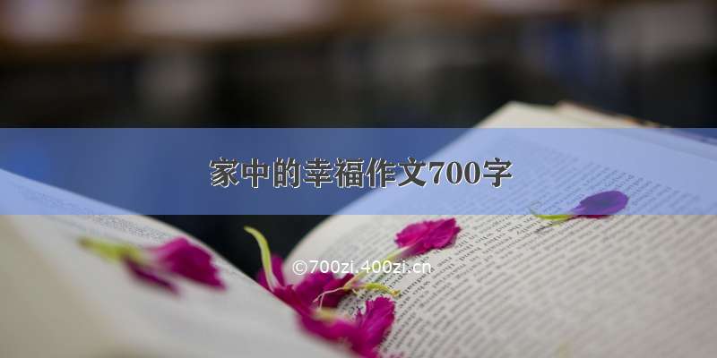 家中的幸福作文700字