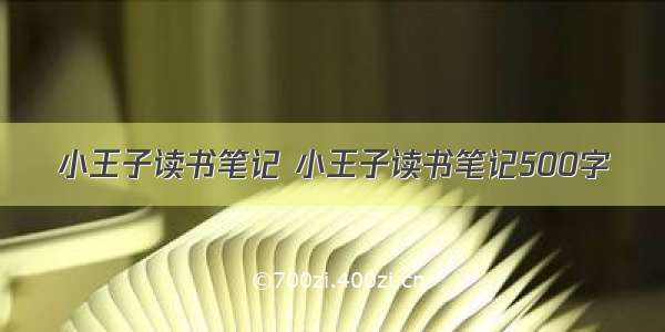 小王子读书笔记 小王子读书笔记500字