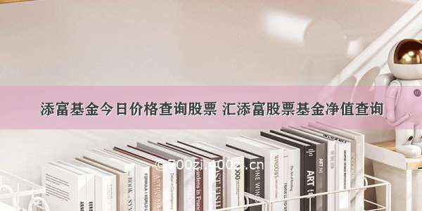 添富基金今日价格查询股票 汇添富股票基金净值查询