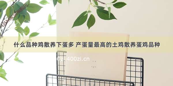 什么品种鸡散养下蛋多 产蛋量最高的土鸡散养蛋鸡品种