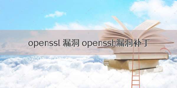 openssl 漏洞 openssh漏洞补丁