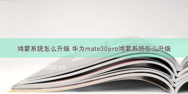 鸿蒙系统怎么升级 华为mate30pro鸿蒙系统怎么升级