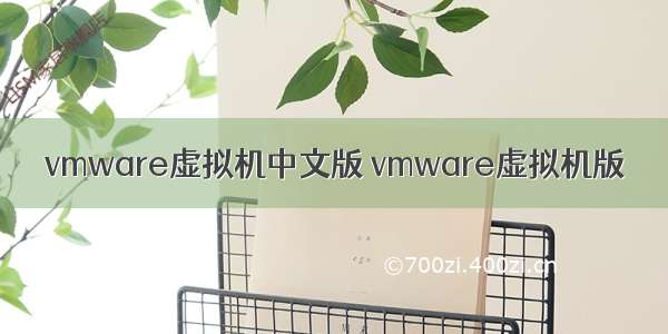 vmware虚拟机中文版 vmware虚拟机版