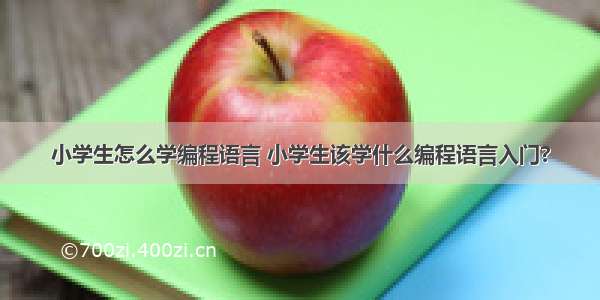 小学生怎么学编程语言 小学生该学什么编程语言入门?