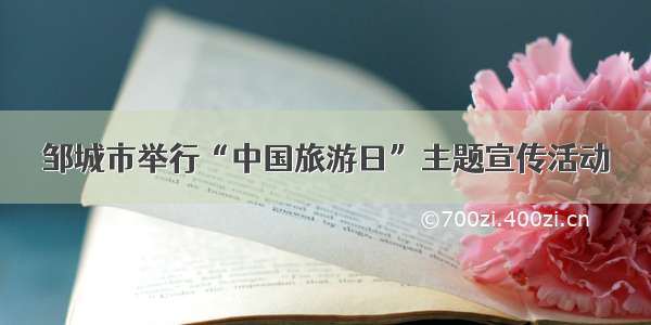 邹城市举行“中国旅游日”主题宣传活动