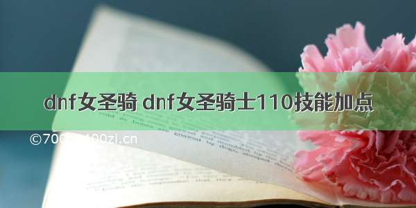 dnf女圣骑 dnf女圣骑士110技能加点